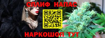 МДПВ Обнинск