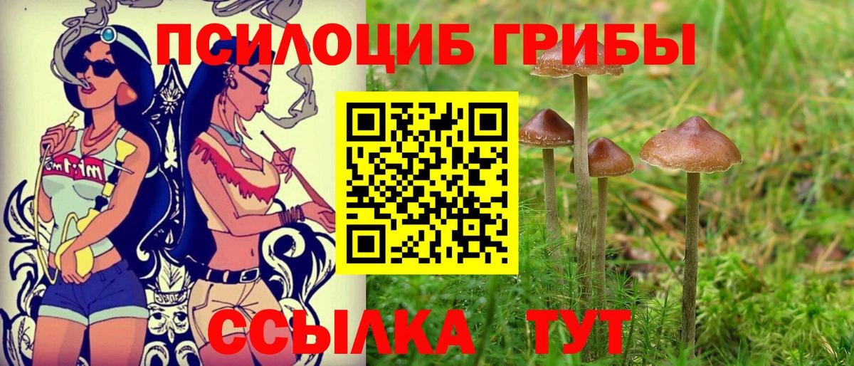купить  сайты  Вход с VPN  Хасавюрт  Псилоцибиновые грибы MAGIC MUSHROOMS 