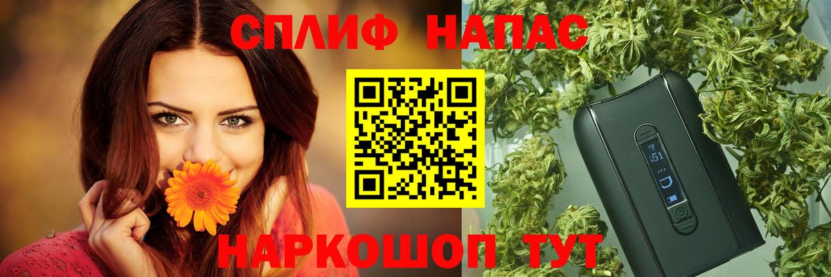 Бошки Шишки SATIVA & INDICA  Канабис White Widow  Хасавюрт  Вход с VPN 